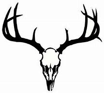 Image result for Mule Deer Skull Clip Art