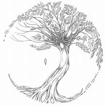 Image result for Simple Tree of Life Pencil Sketch