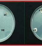 Image result for Hydrolysis Organic Chemistry