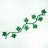 Image result for Ivy Leaf Vine Clip Art