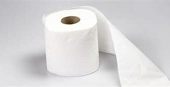 Image result for Toilet Paper Stock