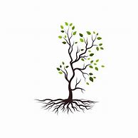 Image result for Leag Branch Vector