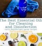 Image result for Best Essential Oils for Cleaning