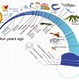 Image result for evolution by natural selection