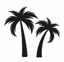 Image result for Palm Tree in Black and White