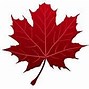 Image result for Free Tree Leaf Clip Art