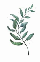 Image result for Individual Watercolor Leaf