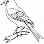 Image result for Bird On Branch Drawing