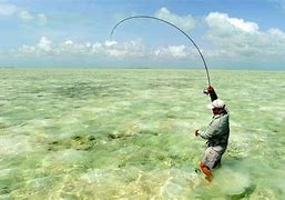 Image result for Fly Fishing NM Sticker