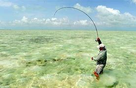 Image result for Fly Fishing Silhouette Clip Art