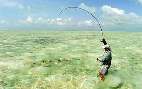 Image result for Fly Fishing Stickers