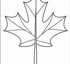 Image result for Maple Leaf Coloring