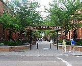 Image result for Leaf Square Border Silhouette