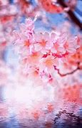 Image result for Sakura Flower SVG