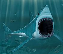 Image result for Pictures of Sea Animals