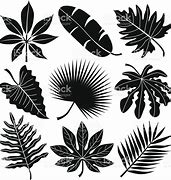 Image result for Leaf Stencil Art