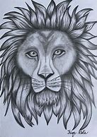 Image result for Drawn Lion Head