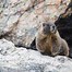 Image result for Most Beautiful Places in Rocky Mountain National Park