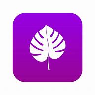 Image result for Leaf Icon Vector