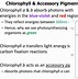 Image result for Light Reactions Photosystem Diagram