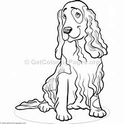 Image result for Cocker Spaniel Dog Coloring Pages