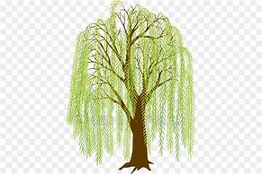 Image result for Weeping Willow Clip Art