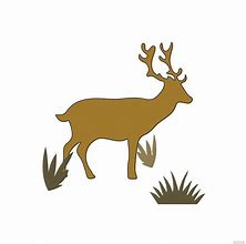 Image result for Mule Deer Skull Clip Art Black and White