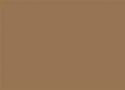 Image result for Beige Plain Color