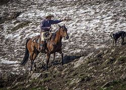 Image result for Real Cowboy Clothes