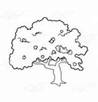 Image result for A Picture of an Apple Tree