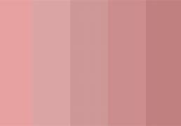 Image result for Dusty Rose Color Palette