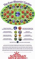 Image result for Perennial Garden Layout