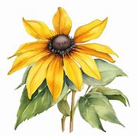 Image result for Blue Eyed Susan Grass Flower