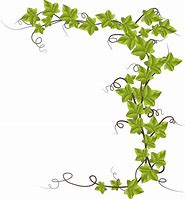 Image result for Clip Art True Vine Ivy