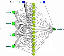 Image result for Neural Network in Human Body