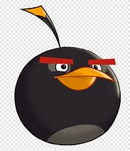 Image result for Angry Birds Black Bird