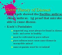 Image result for Germ Theory