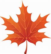 Image result for Thanksgiving Fall Leaf