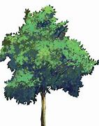 Image result for Black Halloween Tree