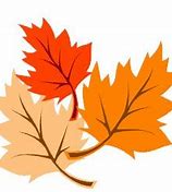 Image result for Fall Leaves Vector Free