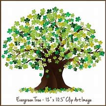 Image result for Realistic Tree Clip Art