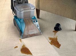 Image result for Dry Clean Carpet Cleaning