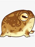 Image result for Rain Forezt Frog Decals