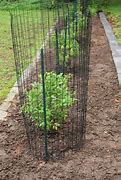 Image result for Fencing for Blueberry Bushes