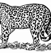 Image result for Jaguar Colour in Clip Art