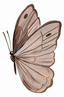 Image result for Beige Butterflies