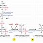 Image result for Two Glucose Molecules Joined Together Form