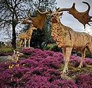 Image result for Irish Elk Cave Painting