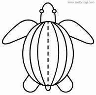 Image result for Baby Turtle Coloring Book Picture