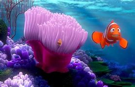 Image result for Scenes From Finding Nemo